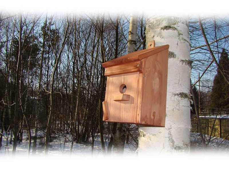 Budka lęgowa Drew-Handel BL10Z/D Zielony karmnik dla ptaków wykonany z drewna iglastego odpornego na warunki atmosferyczne