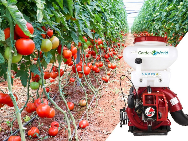 Opryskiwacz spalinowy GardeTech 11820 20L 2.9KM opryskiwacz plecakowy wysoce skuteczny do ochrony roślin