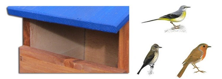 Budka lęgowa Drew-Handel BL14N/D niebieski półotwarty karmnik dla ptaków wykonany z drewna iglastego odpornego na warunki atmosferyczne