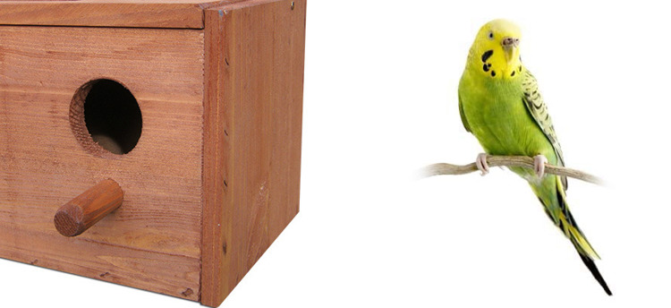 Budka lęgowa dla papug Drew-Handel BL18/D drewniana budka dla papug wykonana z drewna iglastego odpornego na warunki atmosferyczne